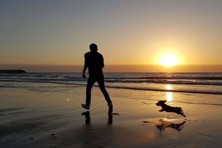 Cadzand Strand Hund Sonnenuntergang