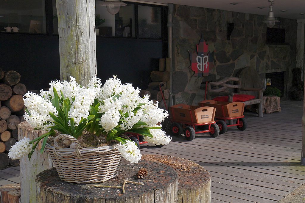 Badhotel Rockanje Eingang Blumen