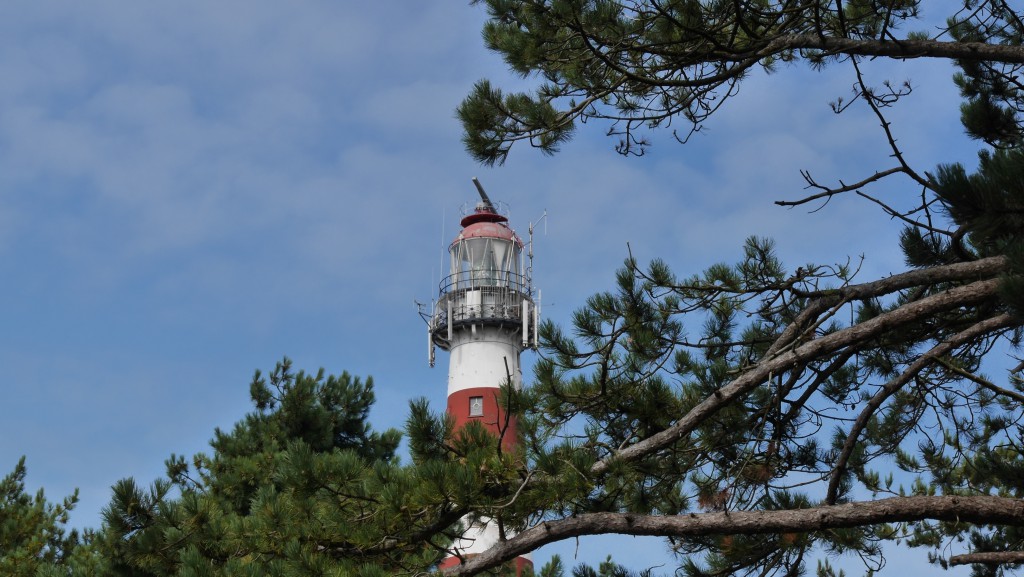 Foto Ameland: Leuchtturm Kiefer