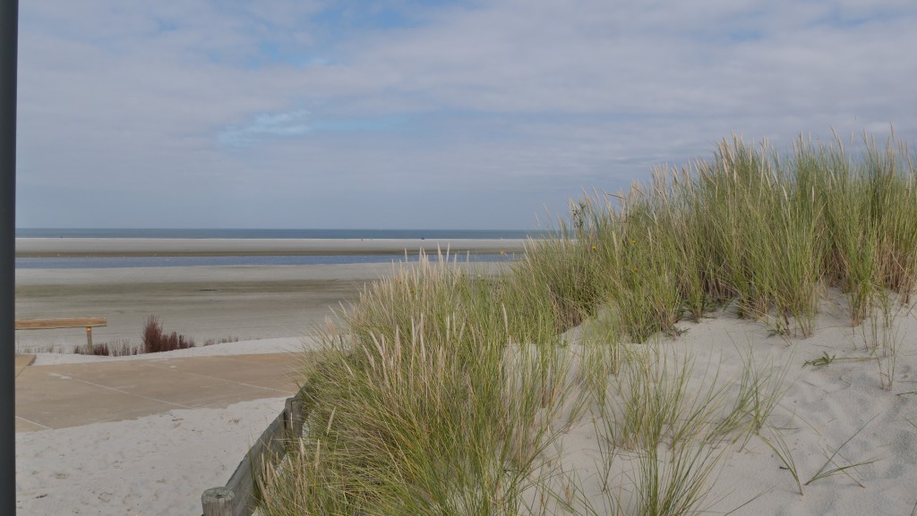 Foto Ameland: Düne