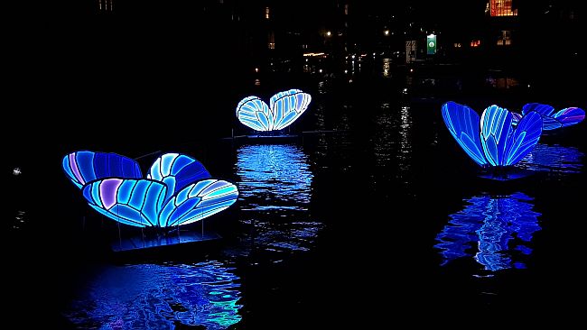 Blue butterflies Light Festival Amsterdam