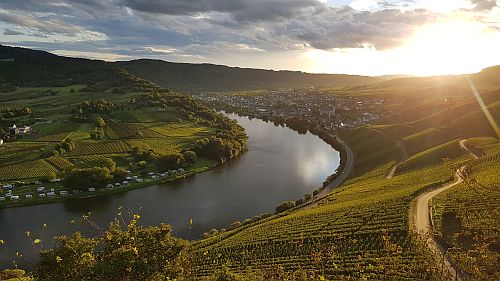 Moselschleife Kröv Kröv Moselschleife