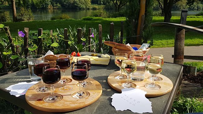 Weingut Hahn Kröv Kröv Weingut Hahn kleine Weinprobe