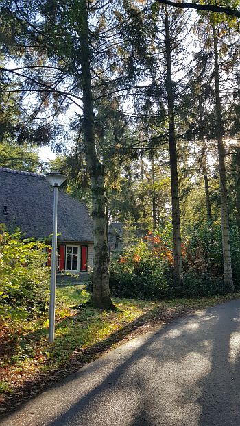 Herbststimmung im Landal Park Het Land van Bartje Landal Park Land van Bartje Herbststimmung
