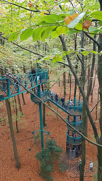 Treppe und Gerüst Baumkronenpfad Drouwen Nähe Landal Van Bartje